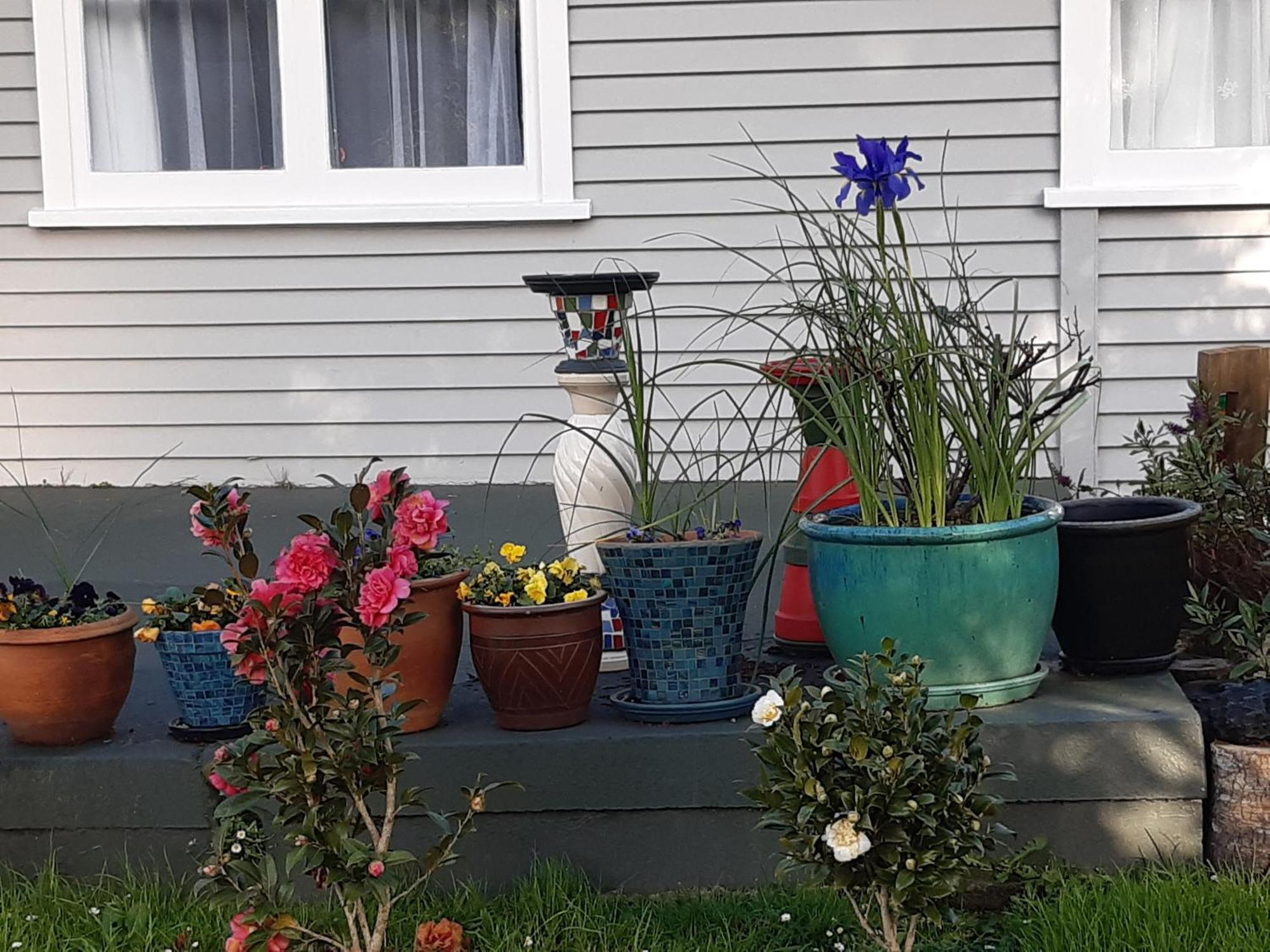 Happy Space Waihi Exterior photo
